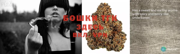 дмт Ладушкин
