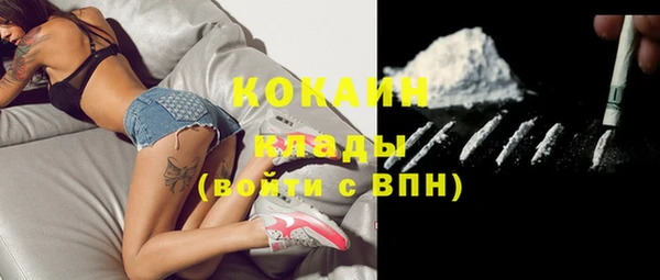 дмт Ладушкин