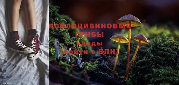 a pvp Куйбышев