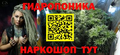 PSILOCYBIN Заводоуковск