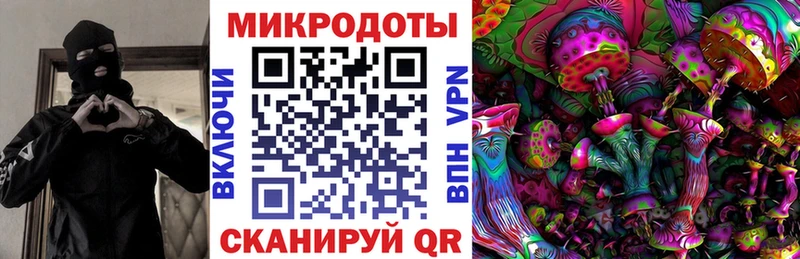 Галлюциногенные грибы Psilocybine cubensis  Кумертау 